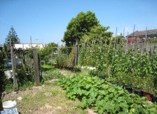 Kwikfynd Vegetable Gardens
wooreen